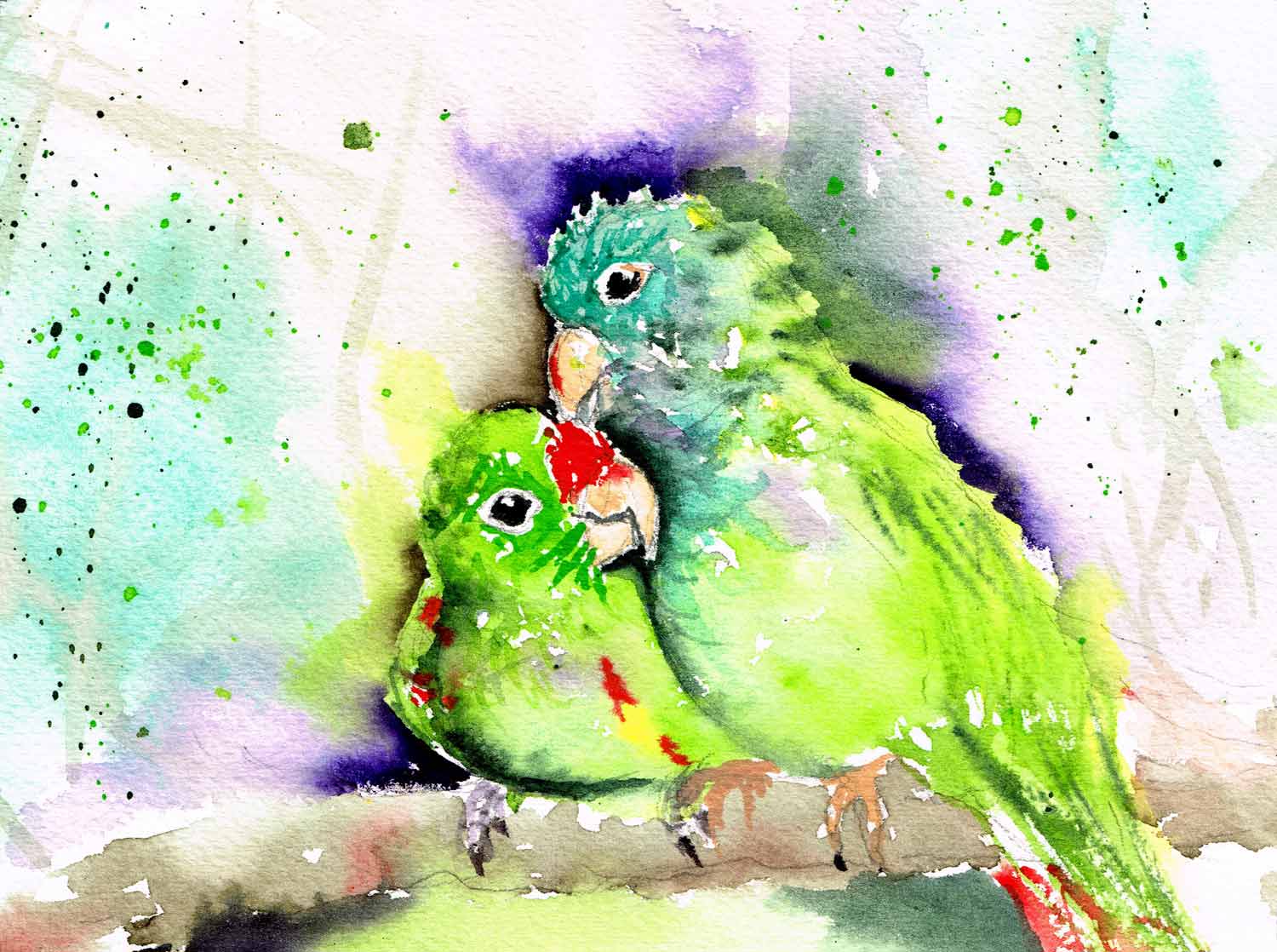 Lovebirds-little-bird-no-12-kw.jpg