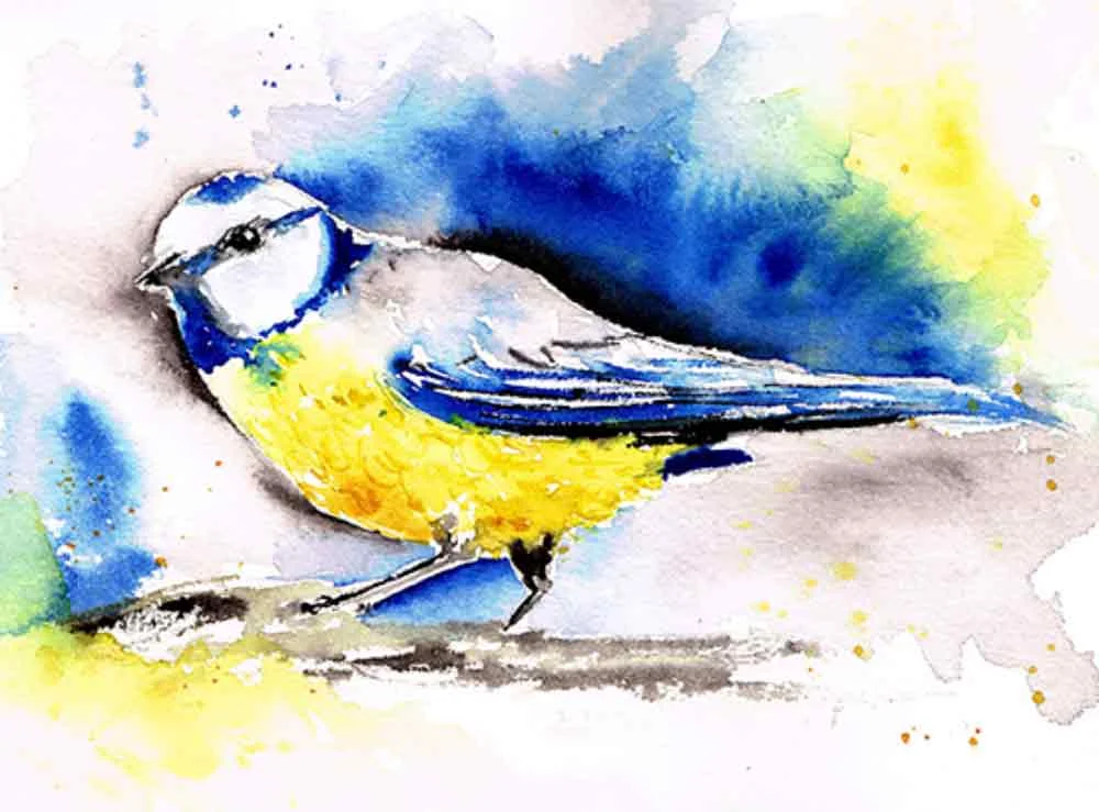 Blue-tit-little-bird-no-2-kw.jpg