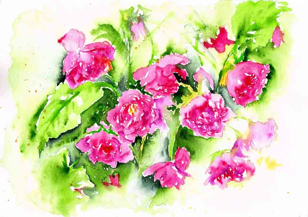 Rambling-Rose-7-scan-kw.jpg
