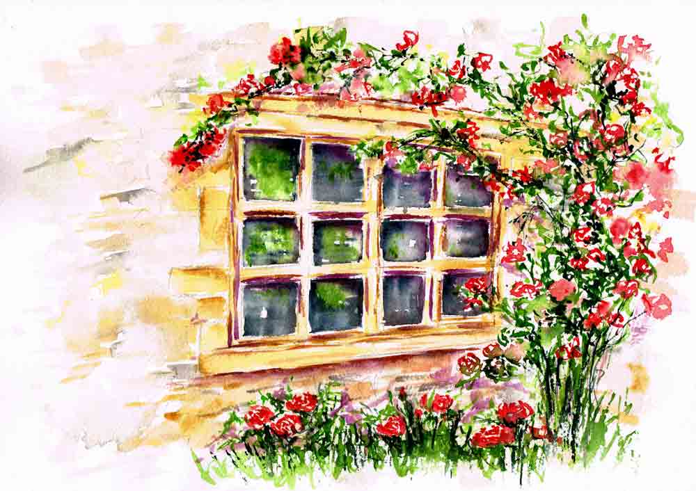 Rambling-Rose-8-scan-kw.jpg