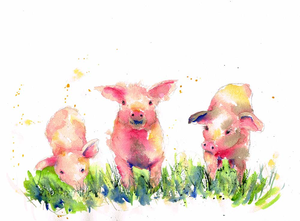 Three Little Pigs (Farm Animals 5) Fine Art Print — Kerrie Woodhouse