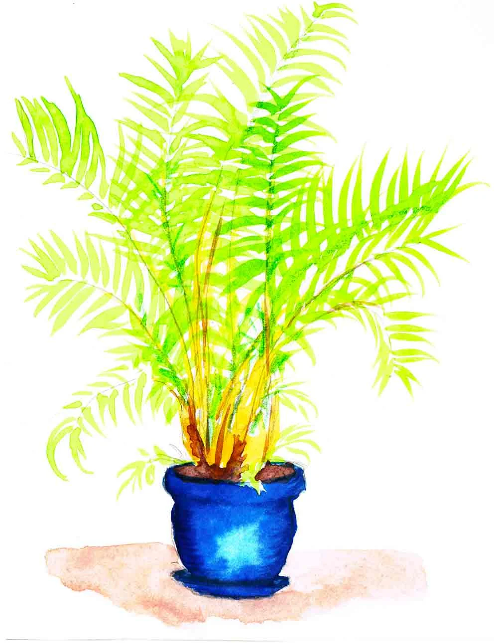 Plants in pots no 9