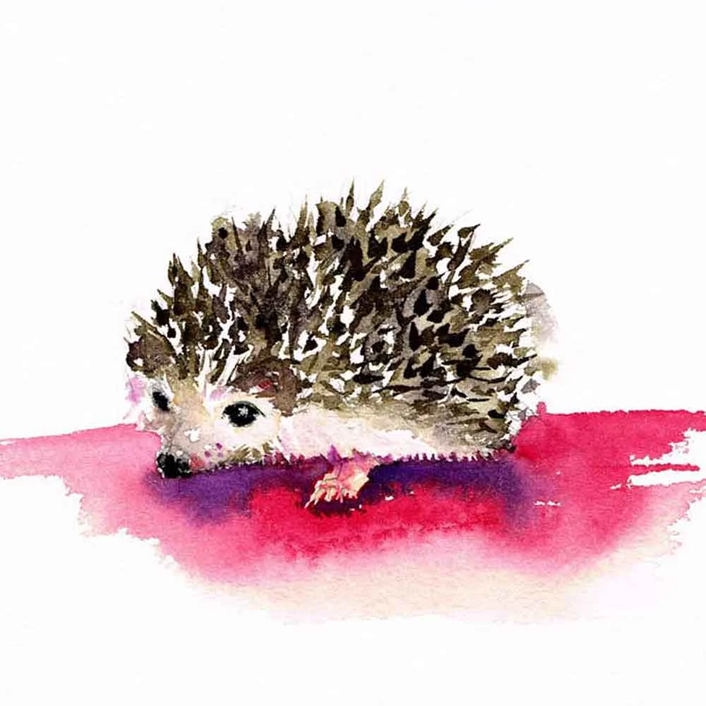 Collection-little-critters-kw.jpg