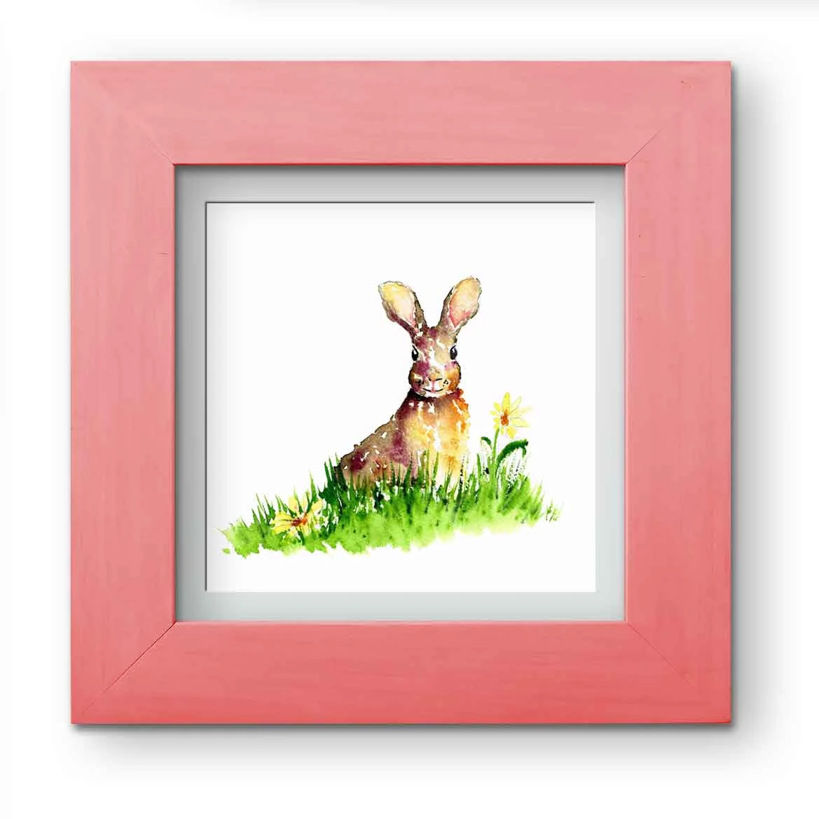 Little-critters-no-3-bunny-and-daisies-shown-framed-in-pink-kw.jpg
