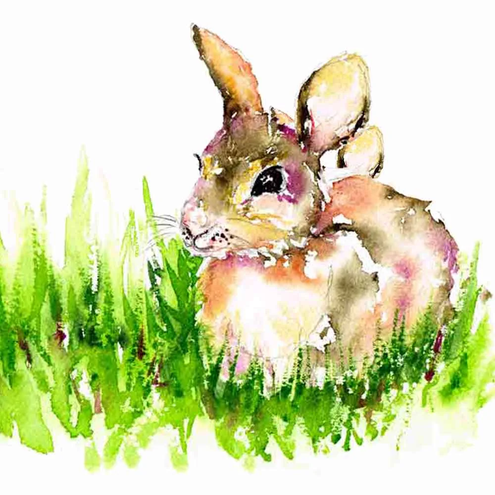 Little-critters-no-7-bunny-square-zoom-kw.jpg