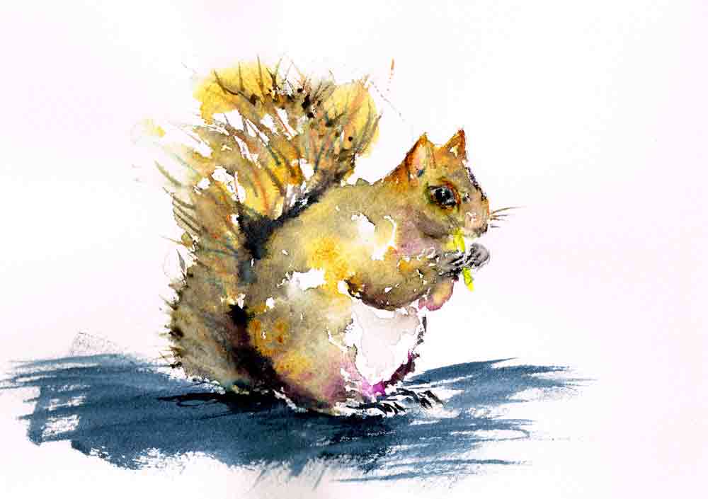 Little-critters-no-8-squirrel-kw.jpg