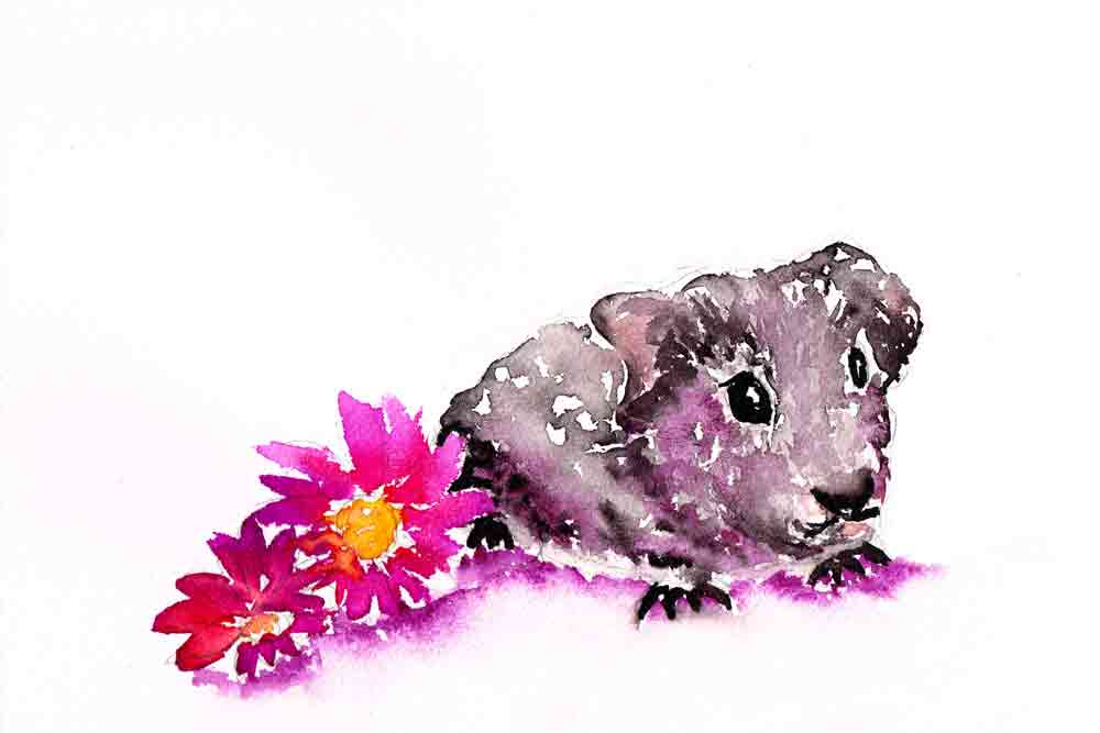 Little-critters-no-6-Hamster-kw.jpg
