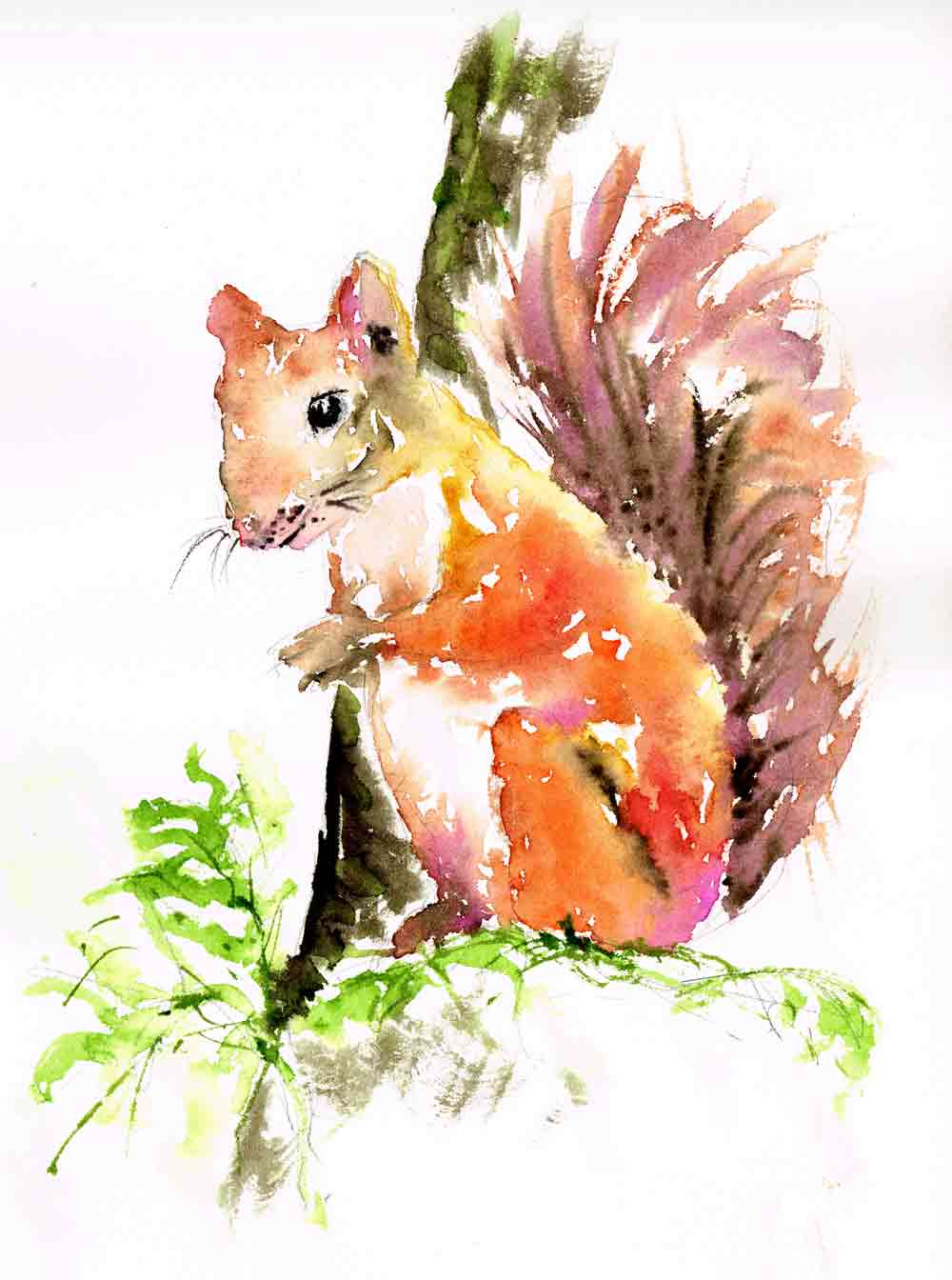 Little-critters-no-9-squirrel-in-a-tree-kw.jpg