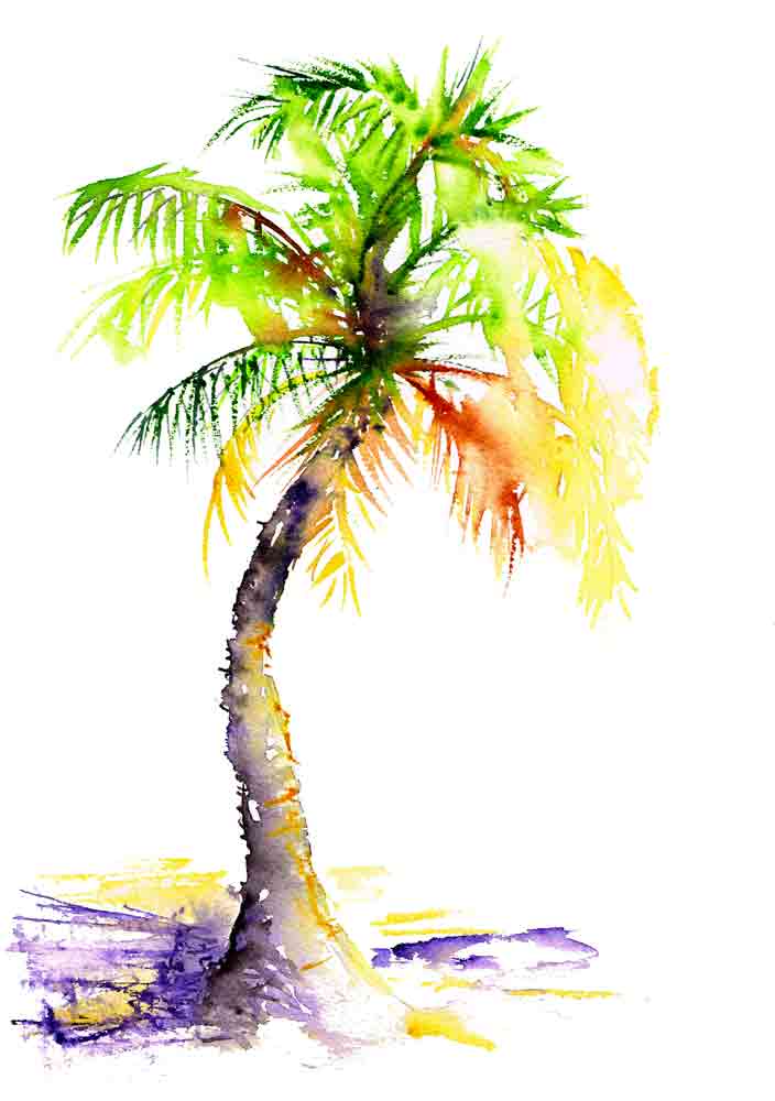 happy-little-trees-no-7-palm-tree-kw.jpg