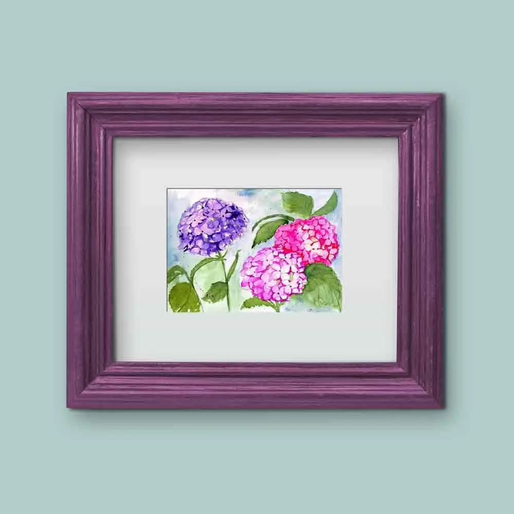 Watercolour-flowers-no-12-hydrangeas-shown-in-violet-frame-kw.jpg