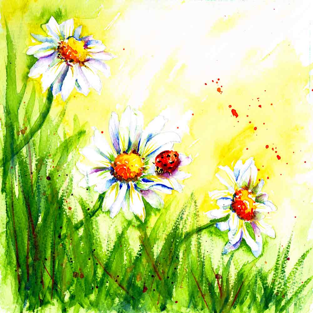 Bugs-Blooms-no-5-Daisy-Trio-kw.jpg