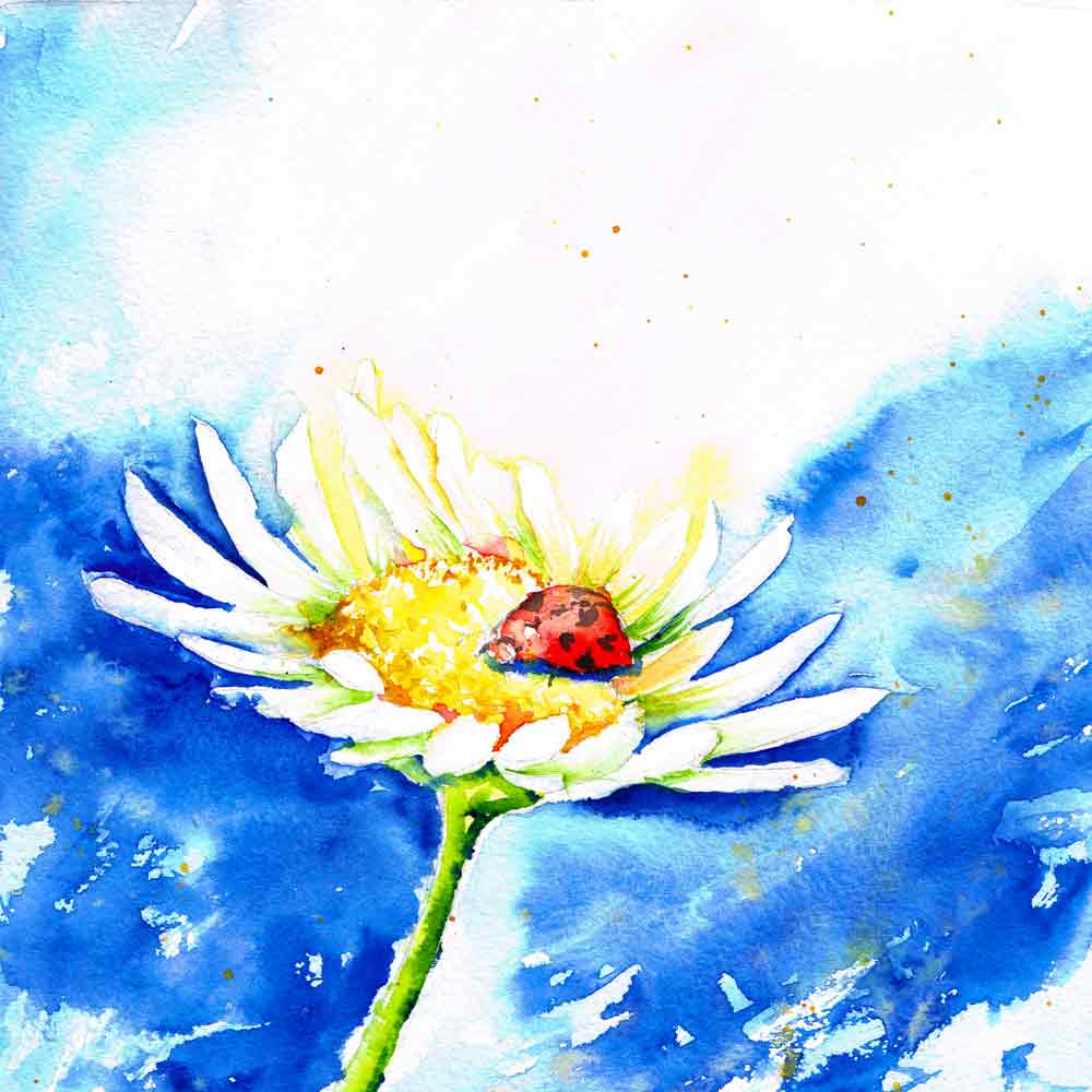 Bugs-Blooms-no-7-white-daisy-blue-sky-kw.jpg