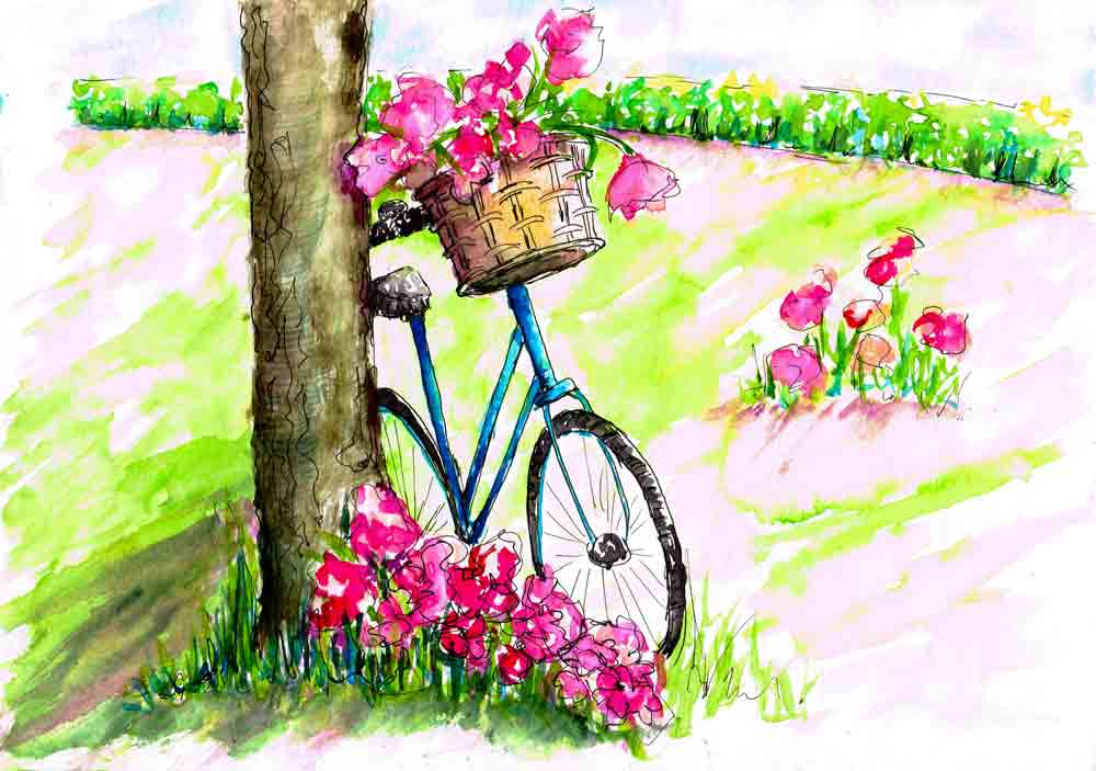 Mar 17 Blossoms and Bikes