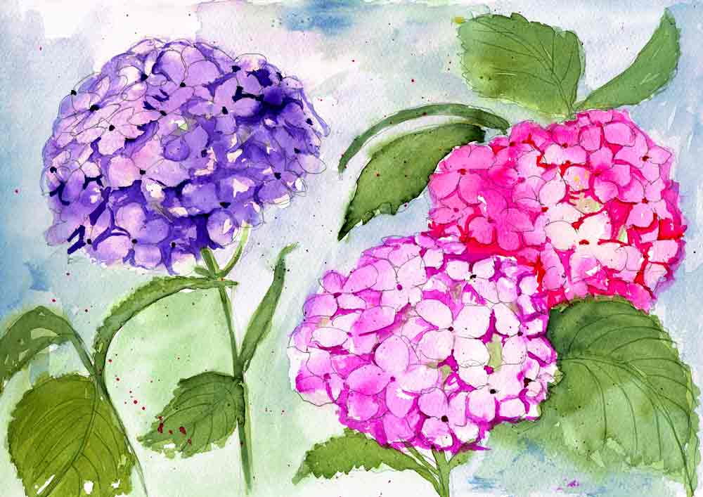 Sep 15 Watercolour Flowers