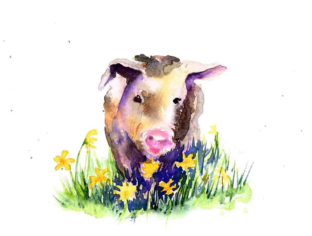 Pigs-4-Daisy-Field-scan-kw.jpg