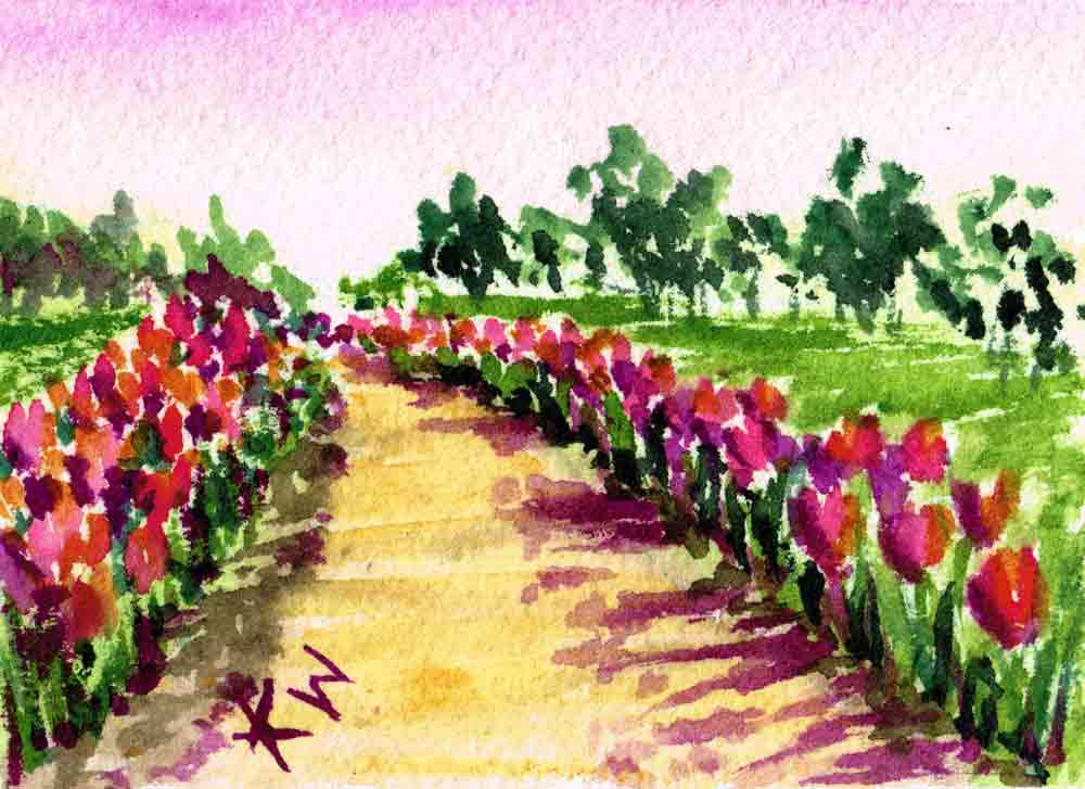 Garden-path-no--9-aceo-tulip-path-kw.jpg