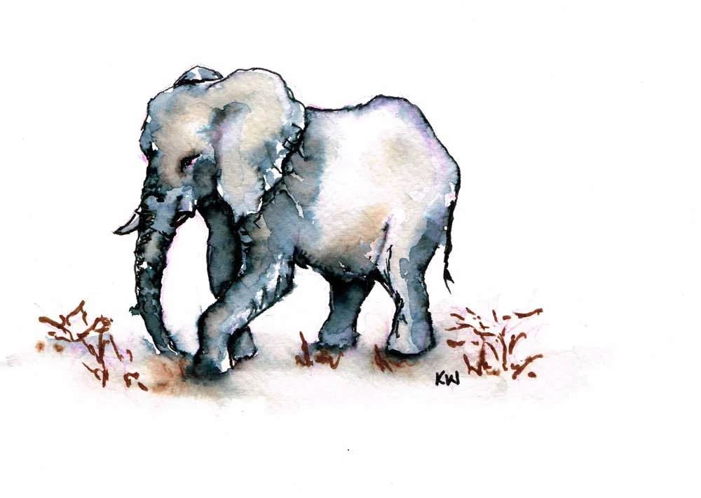 Elephants no 4 - (Watercolour marker on paper, 5.8"x 8.3")