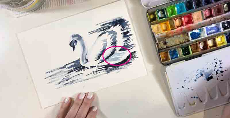I used the lightest value to begin adding the shadow cast by the wing over the back of the swan’s body.