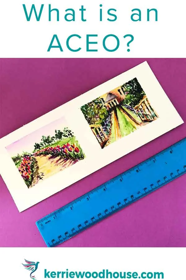 what-is-an-aceo-kw.jpg