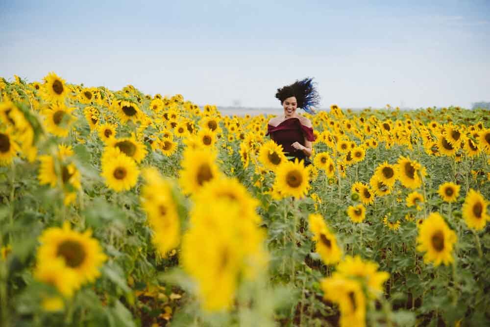 good-reasons-to-paint-sunflower-field.jpg