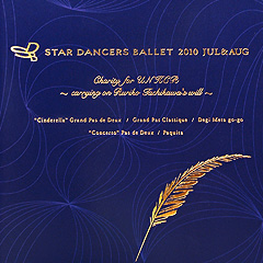 sdb_2010charity_program_i.jpg
