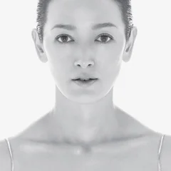 roc_2009_i.jpg