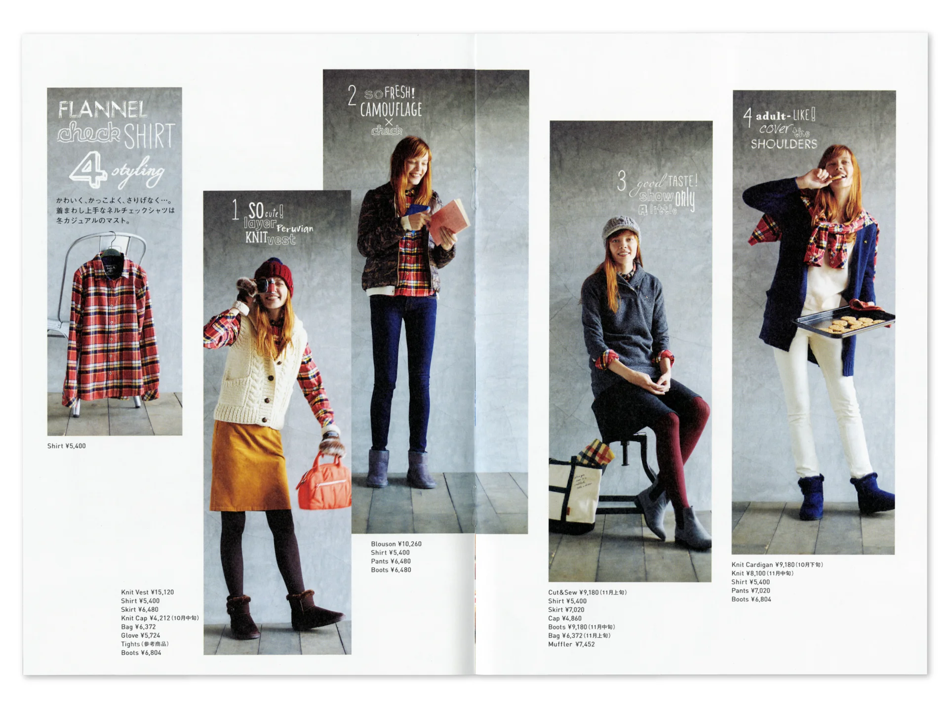 APT2014winter_4.jpg
