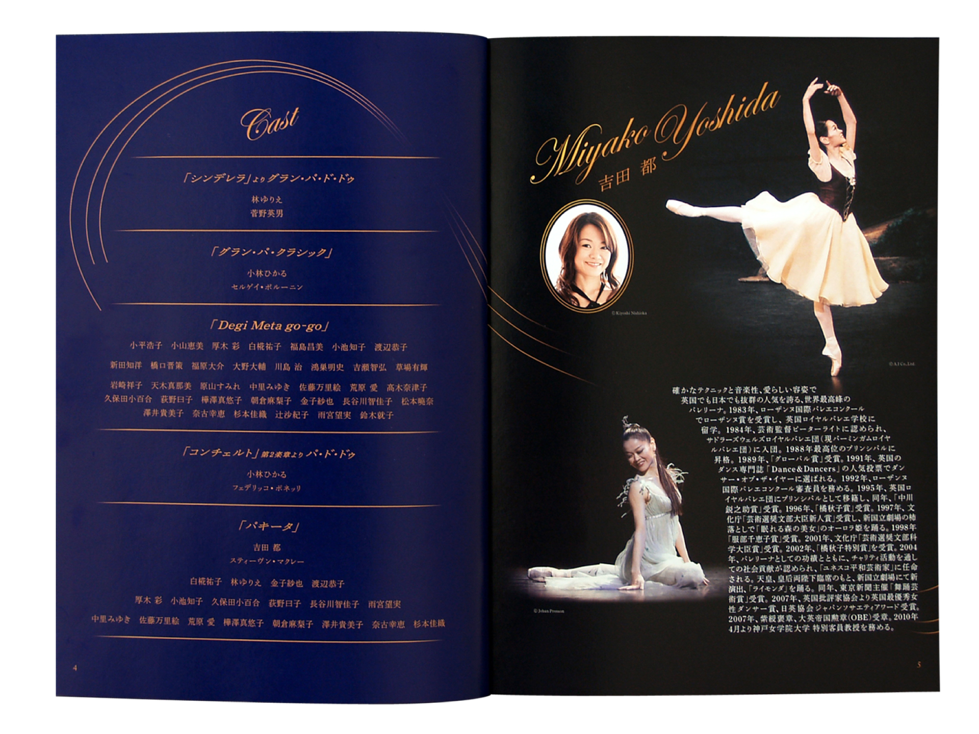 sdb_2010charity_program_3.jpg