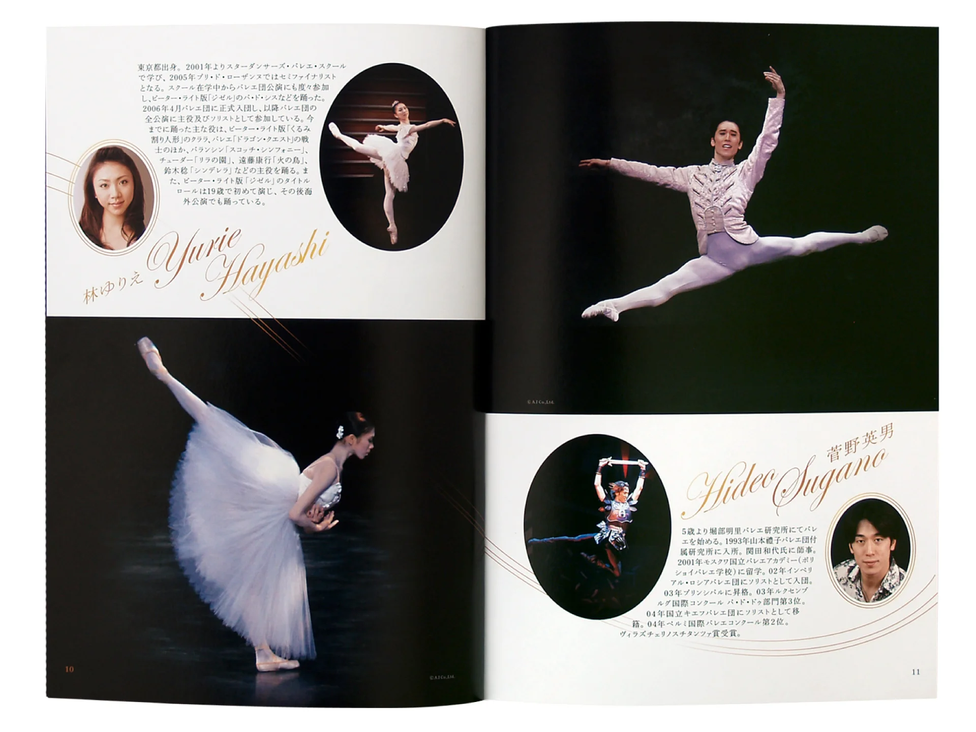 sdb_2010charity_program_6.jpg