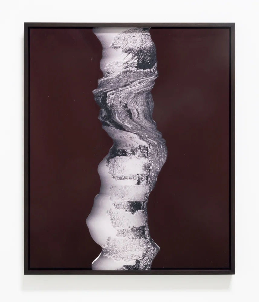   From Both Moments As Another , 2013 Ballpoint pen ink over chromogenic print 28.75 x 24 inches 