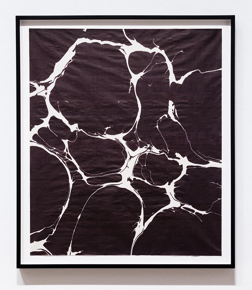   Its Remaining Presence , 2012 Ballpoint pen on paper 24 x 28 inches 