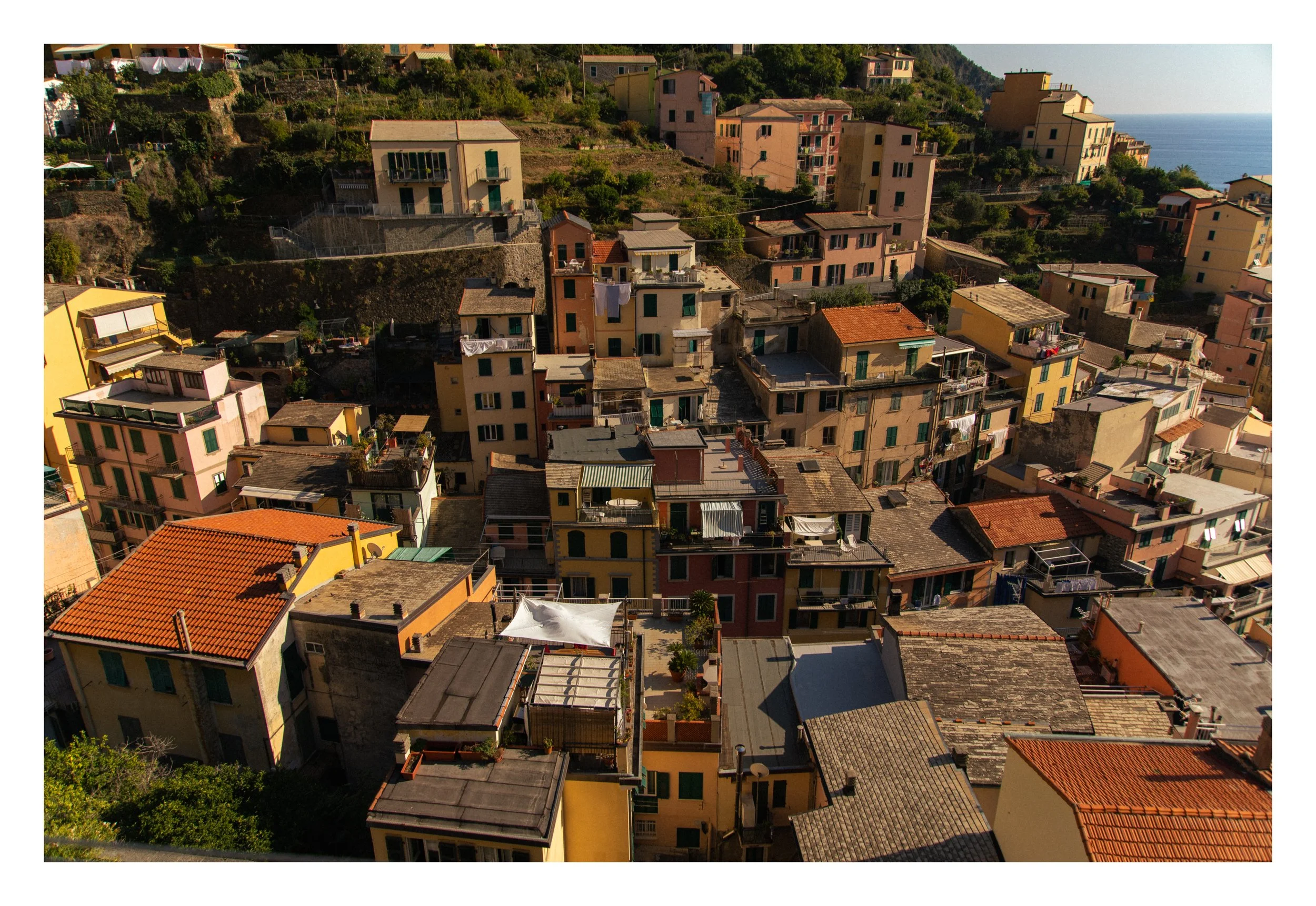 A hillside view of tightly packed colorful residential buildings with tiled roofs, lush greenery, and the ocean in the background.