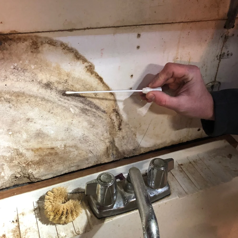 Mold Testing, Mold Air Testing, Mold Inspections Alpine Building