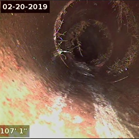 Screenshot+2019-03-06+15.18.58.jpg