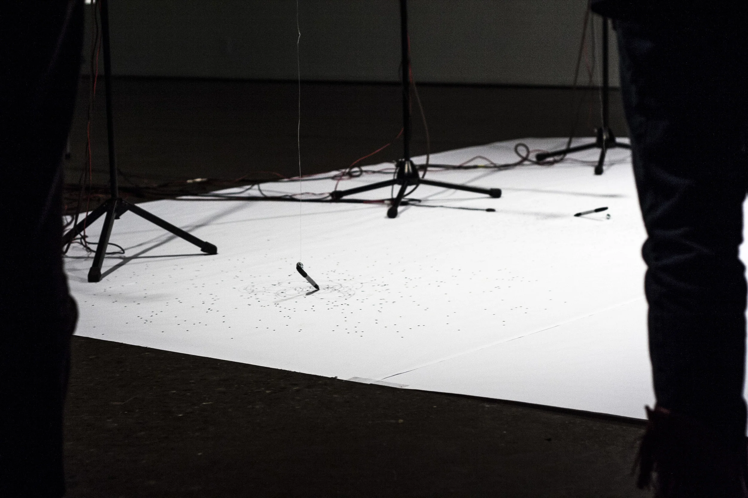 PF Performance_11.JPG