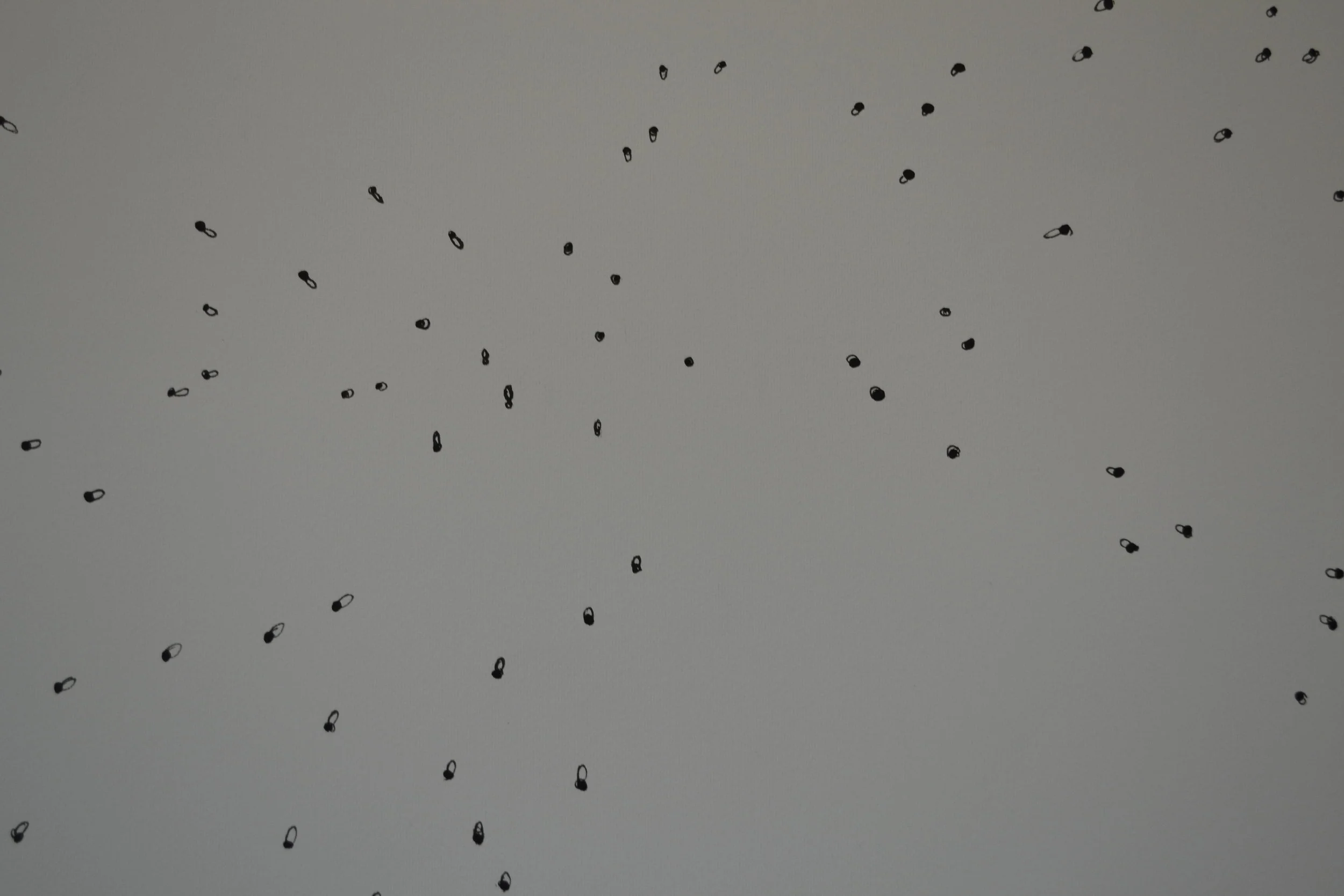 DSC_0066.JPG