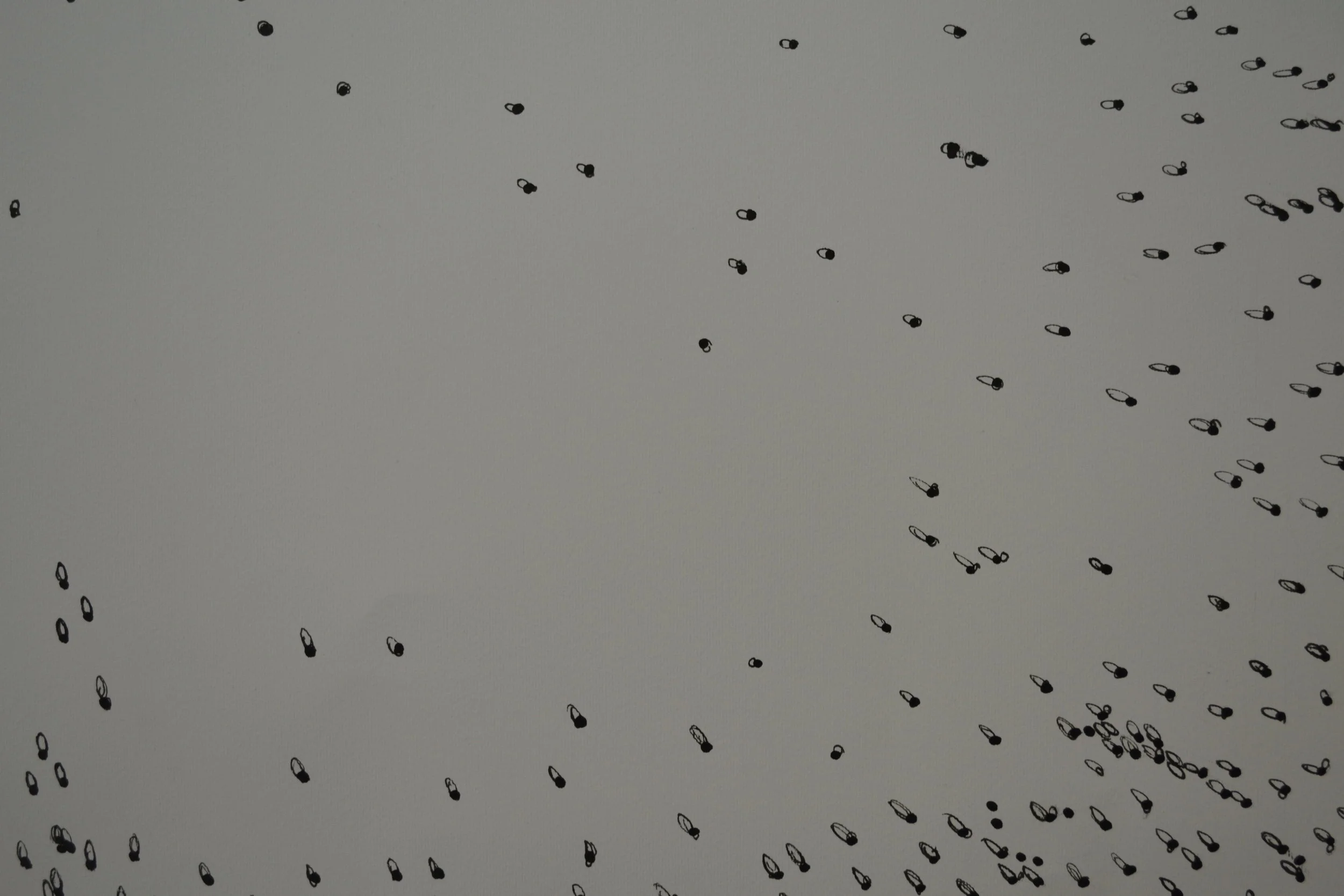 DSC_0067.JPG