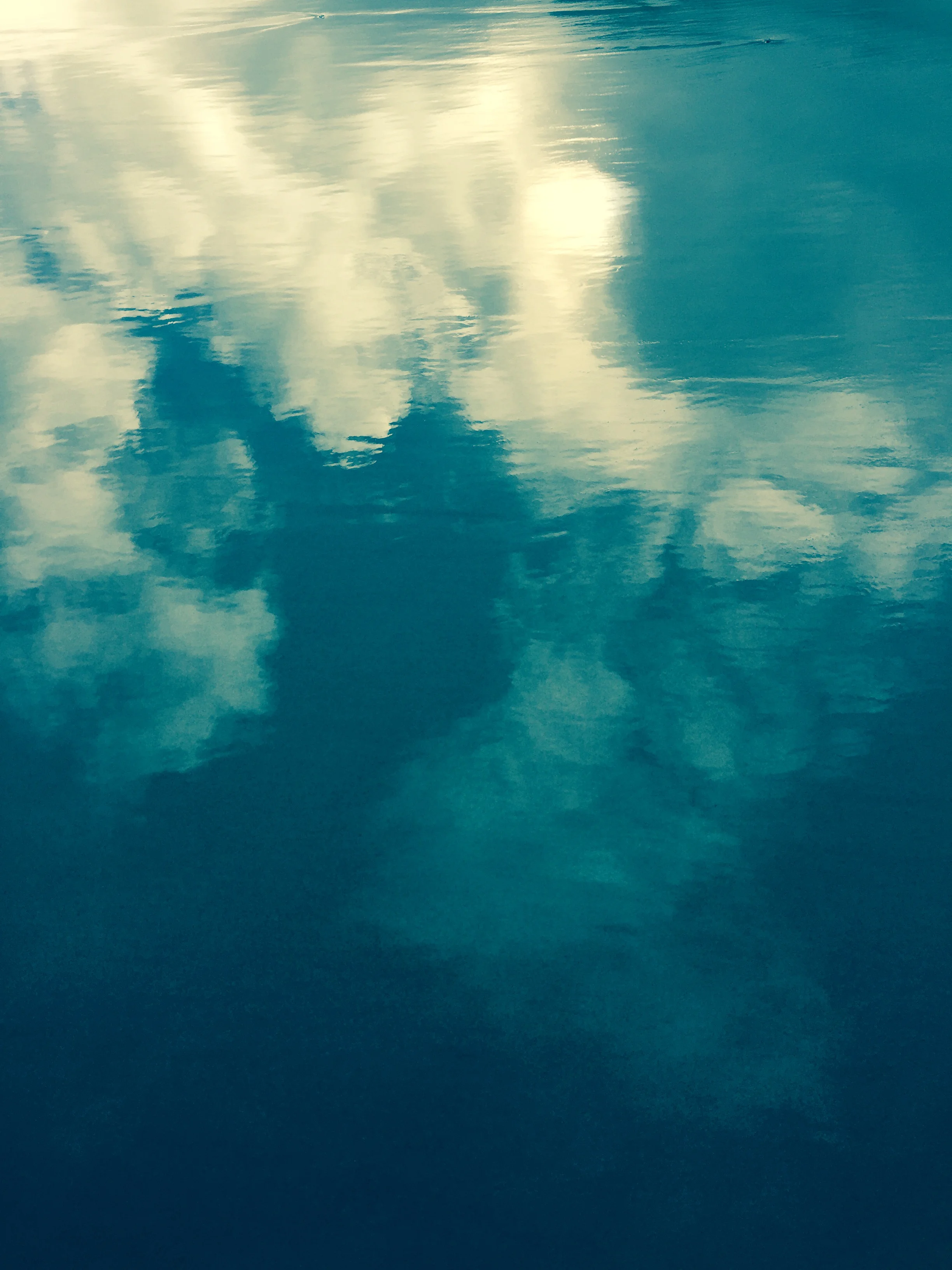 10 Week Lecture & Interactive Series Begins!