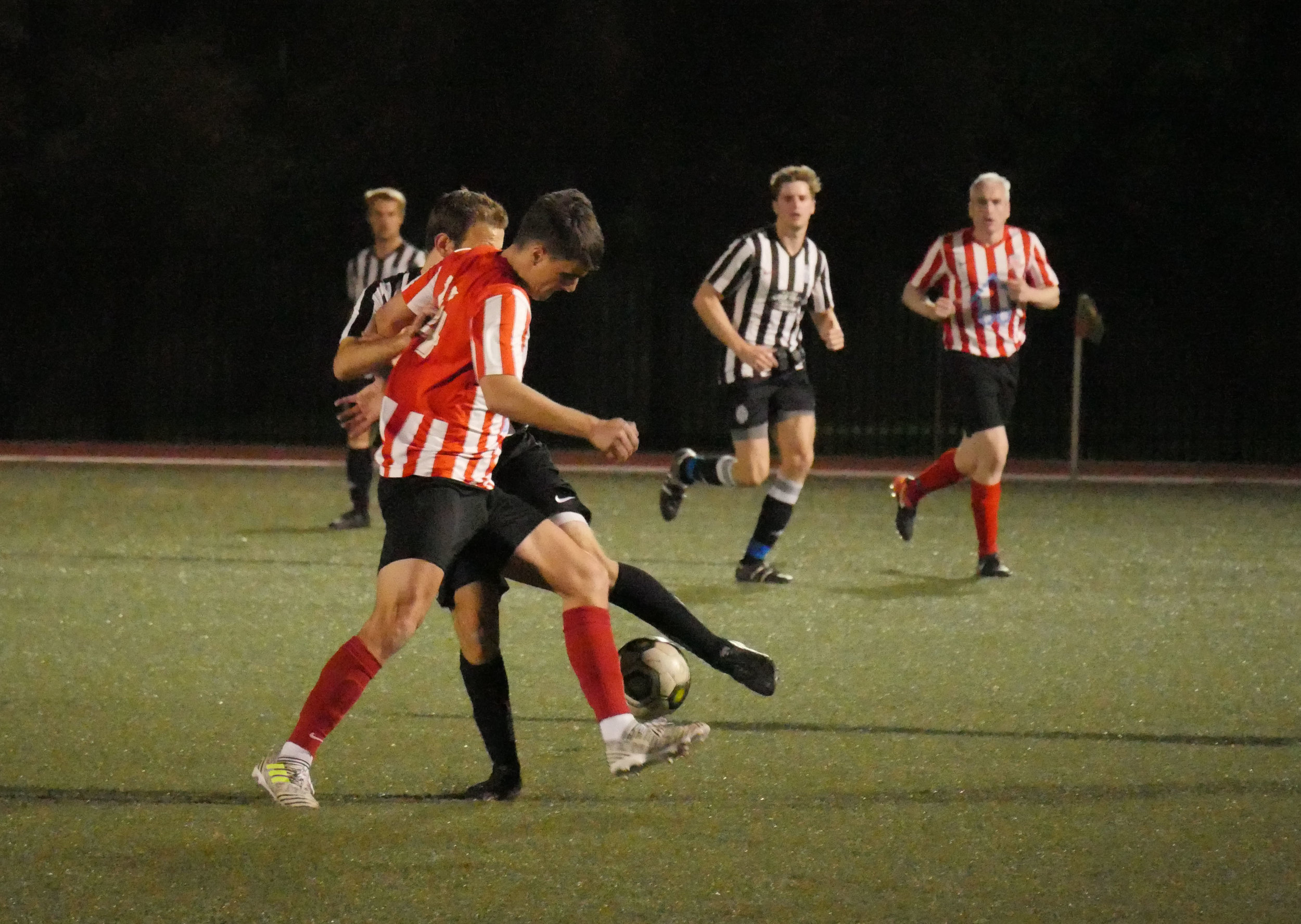 P1110113.JPG