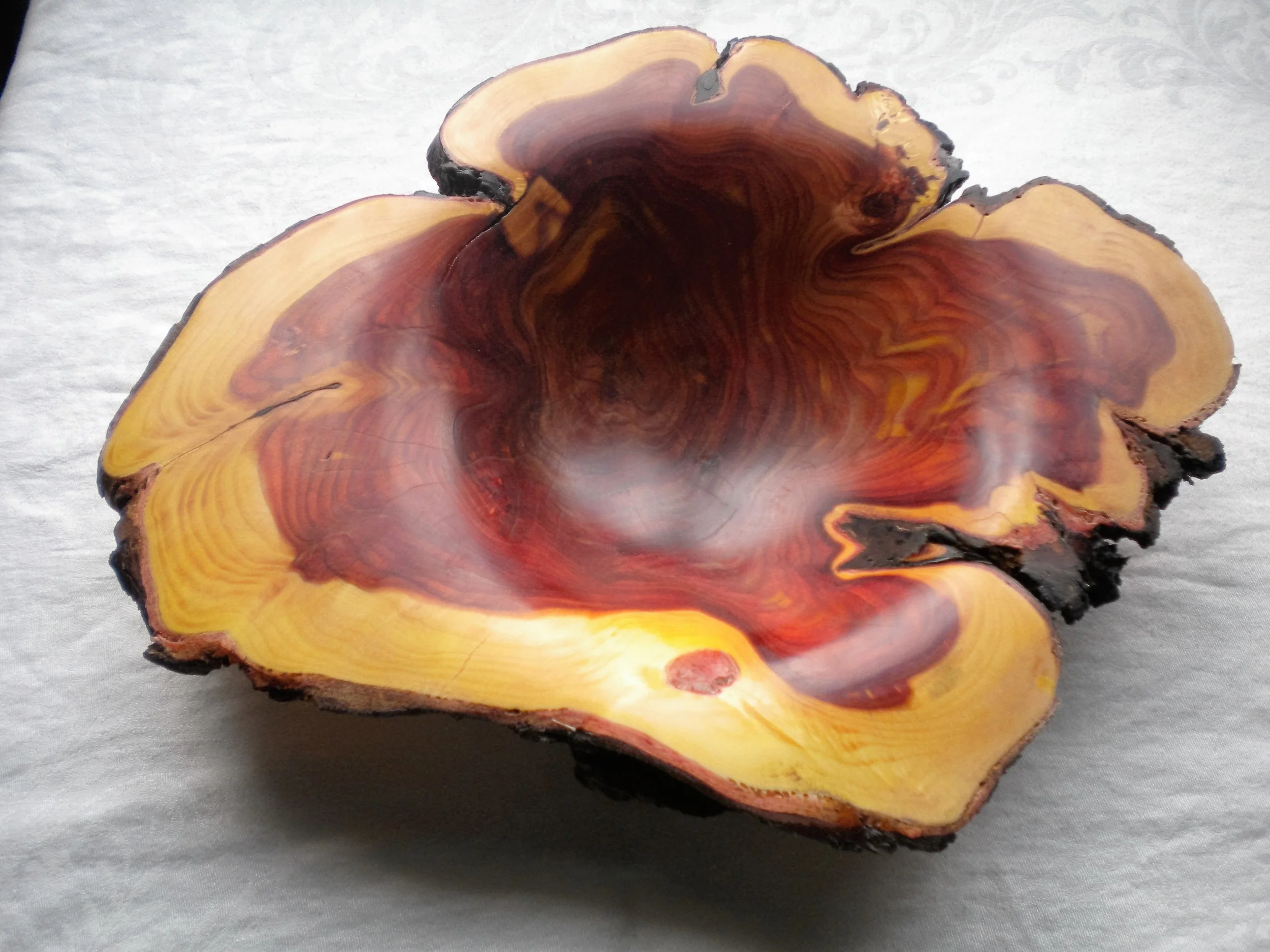 Twisted Hollywood Juniper