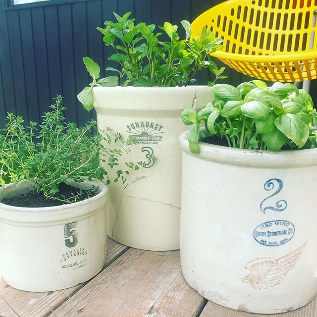 Herb pots ✅ #ceramics #vintage #redwingunionstonewareco #sunburstceramics #medaltapotteries