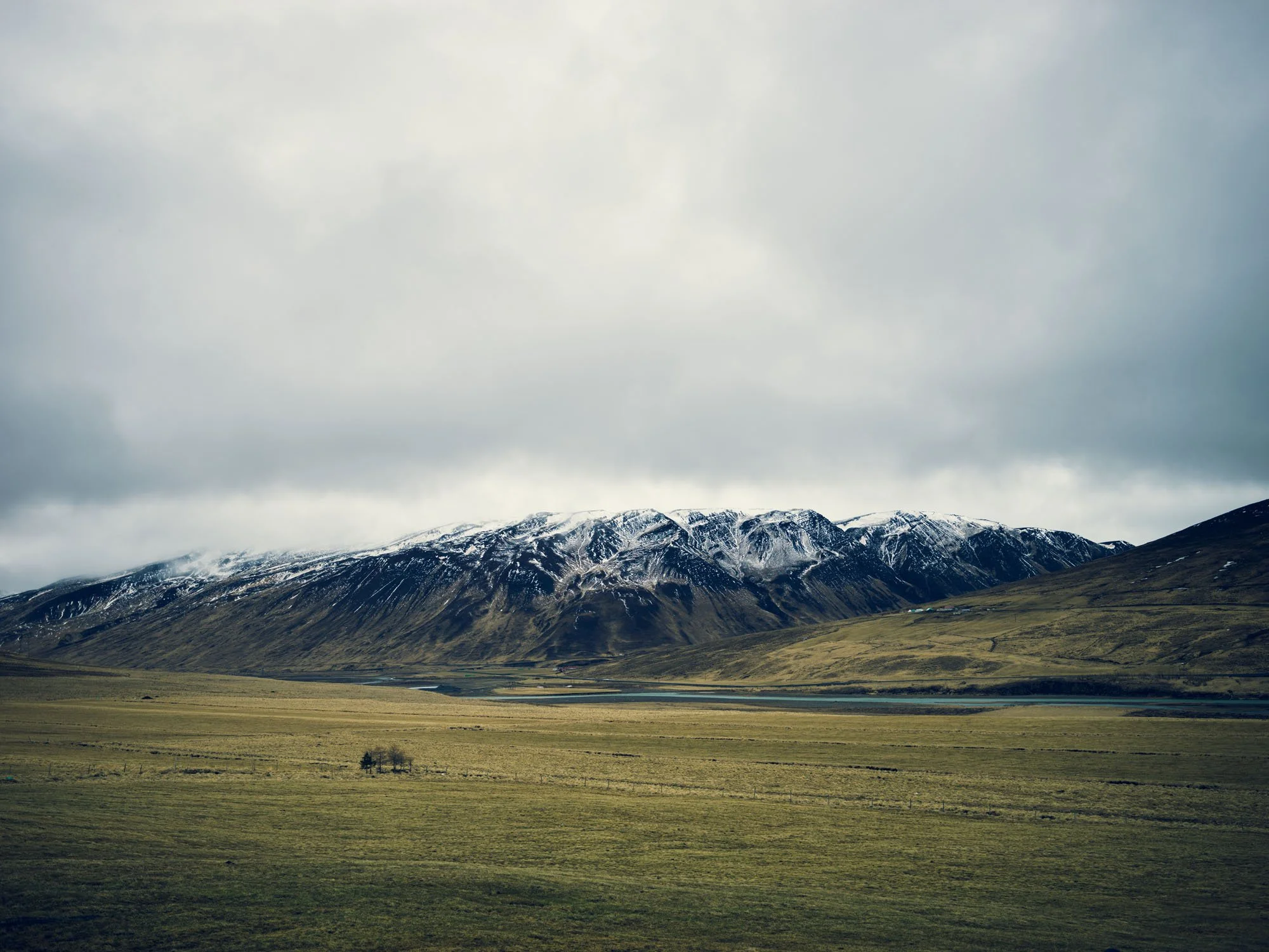 Snow-covered mountains rising above a wide grassy plain