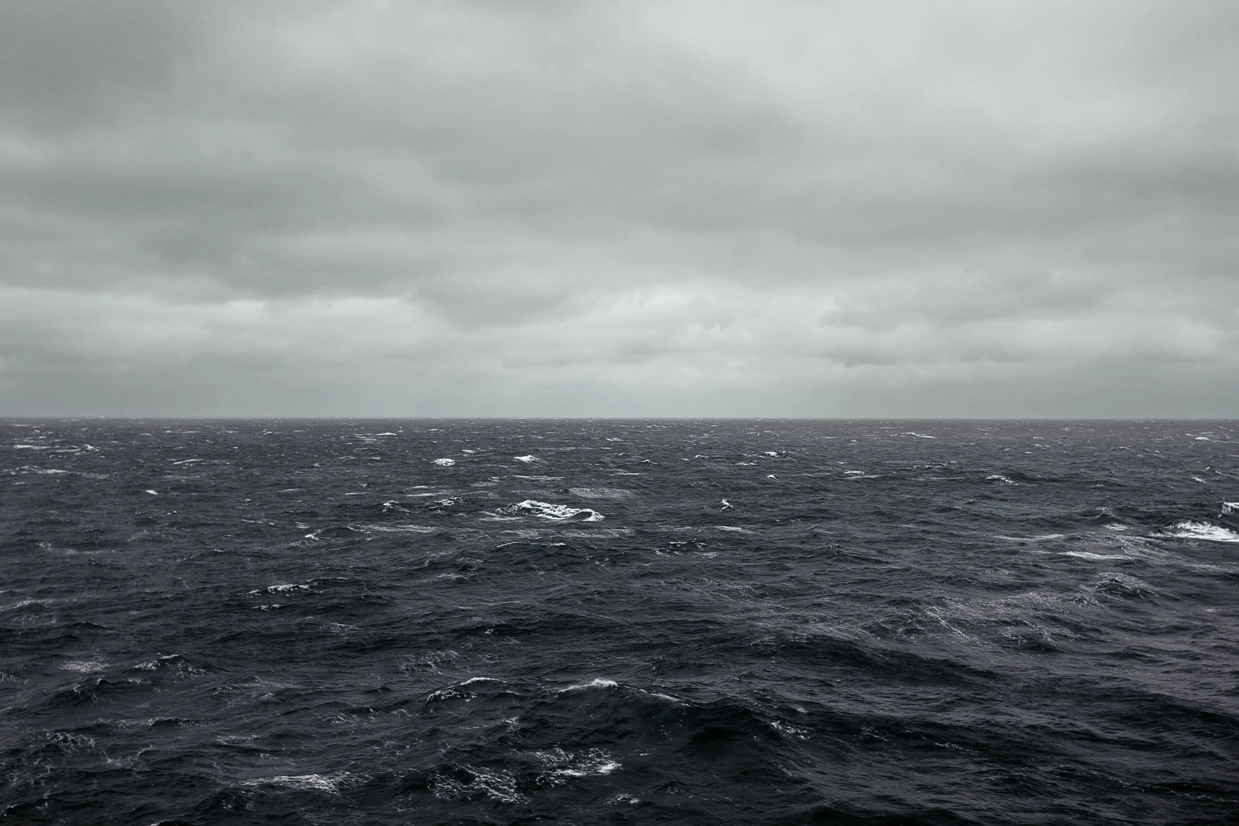 ICE_3289 v. color.jpg
