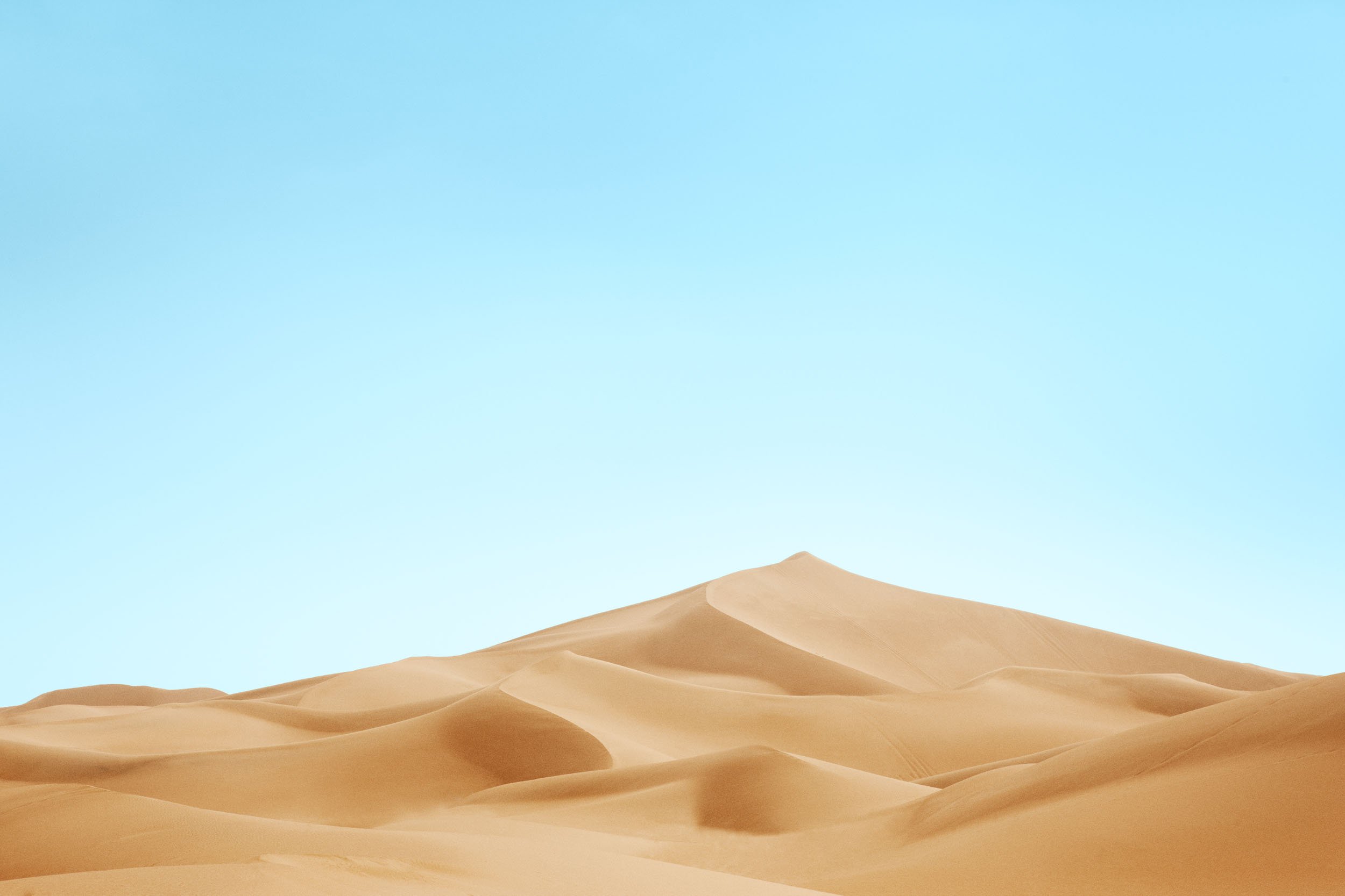_RG_7750 as Smart Object-1.jpg