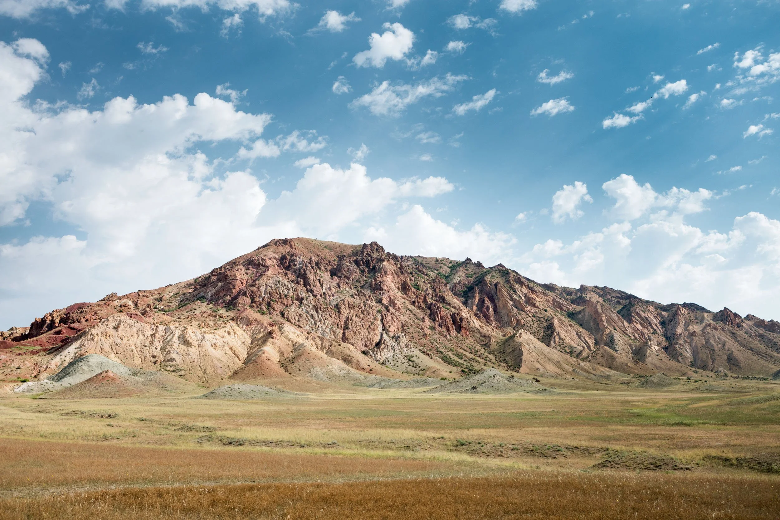 _G5D7991-1.jpg