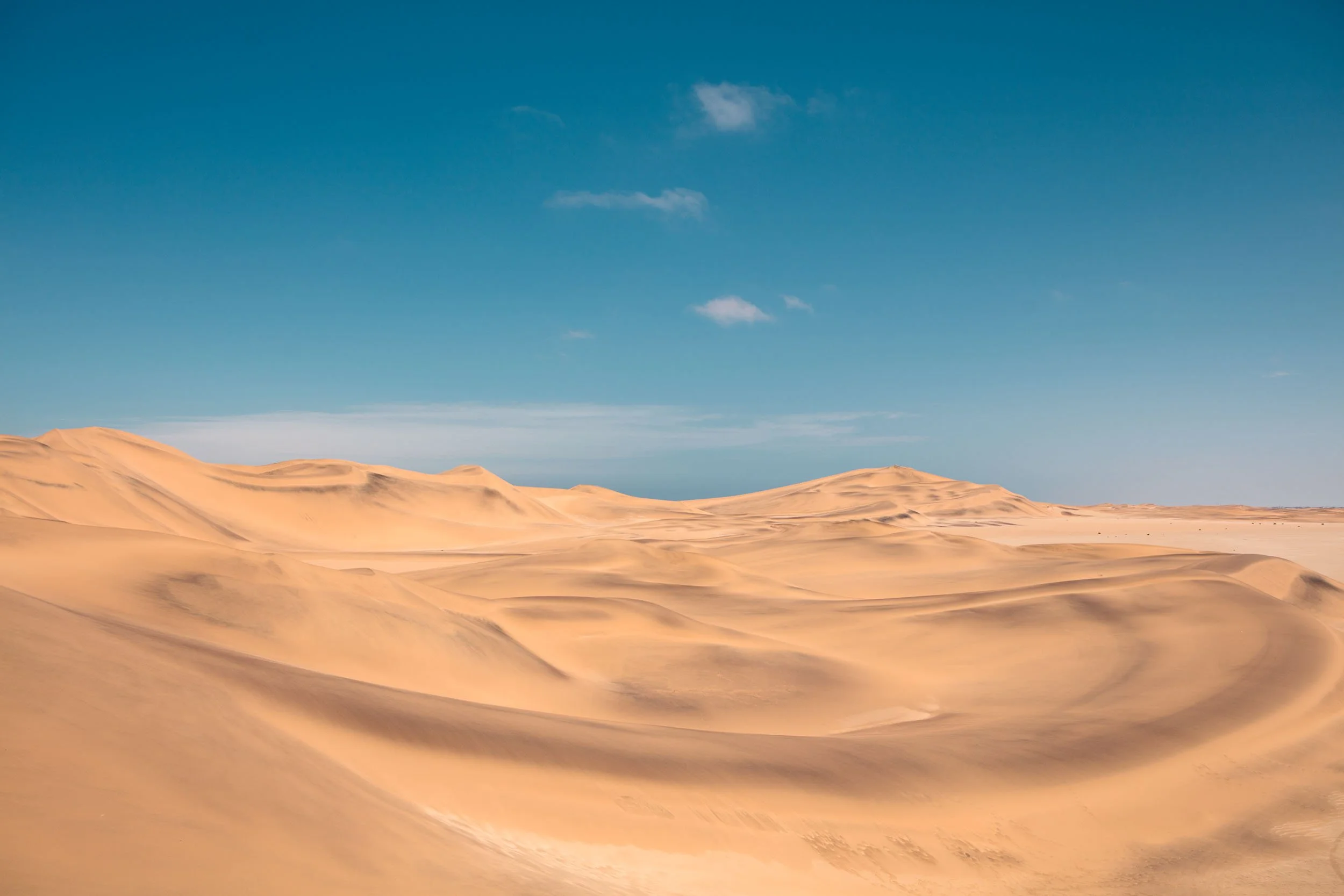 _G5D8204-1.jpg