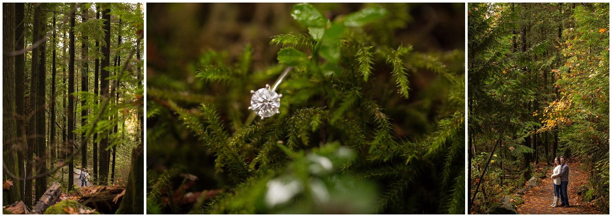 Amazing Day Photography - Mission Engagement Session - Hatzic Lake - Cascade Falls -Blueberry Field - Fall Engagement Session - Fraser Valley Engagement Photographer (26).jpg