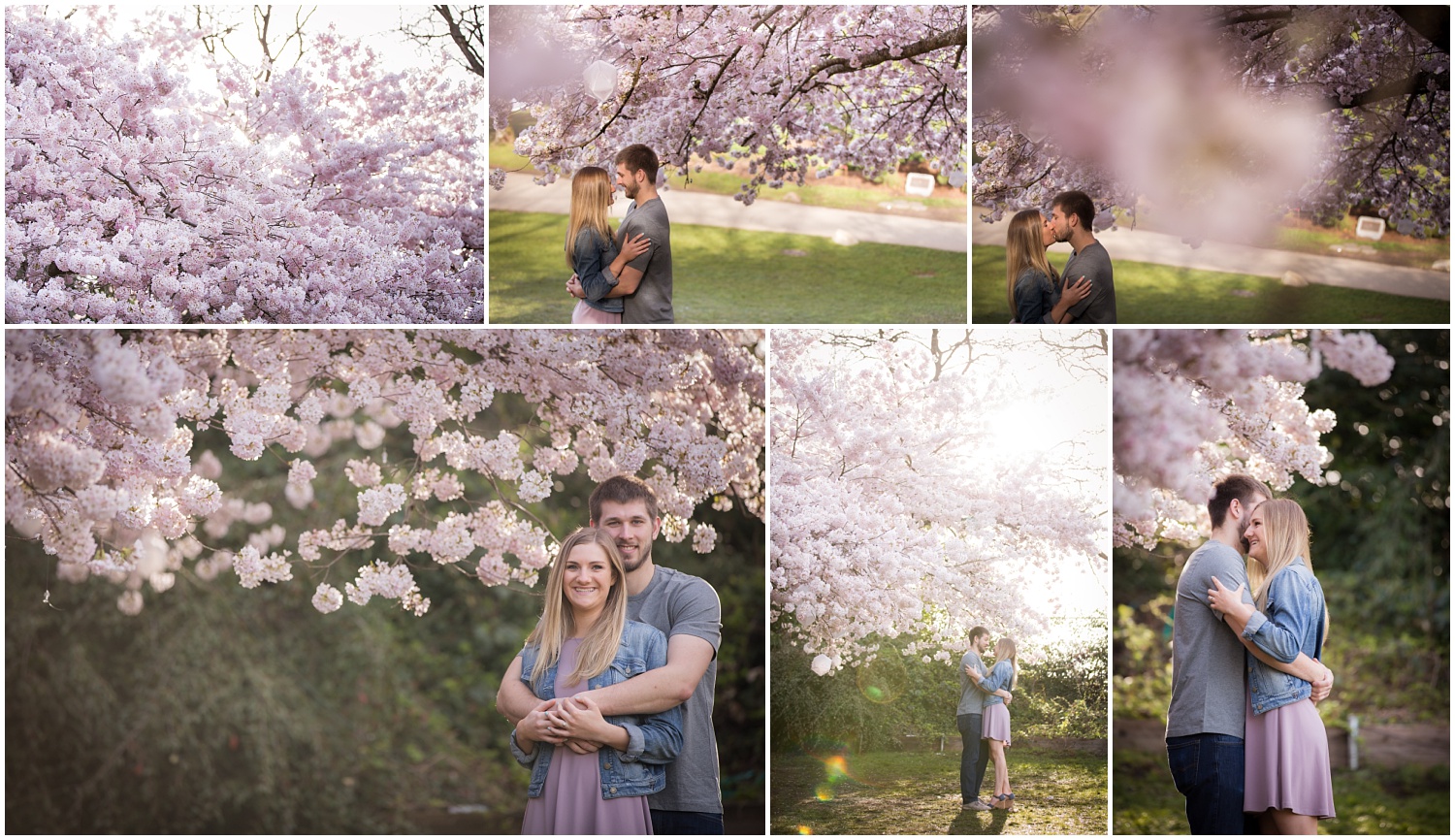 Amazing Day Photography - Cherry Blossom Engagement Session - Queen Elizabeth Park Engagement Session - Vancouver Engagement Photographer  (1).jpg