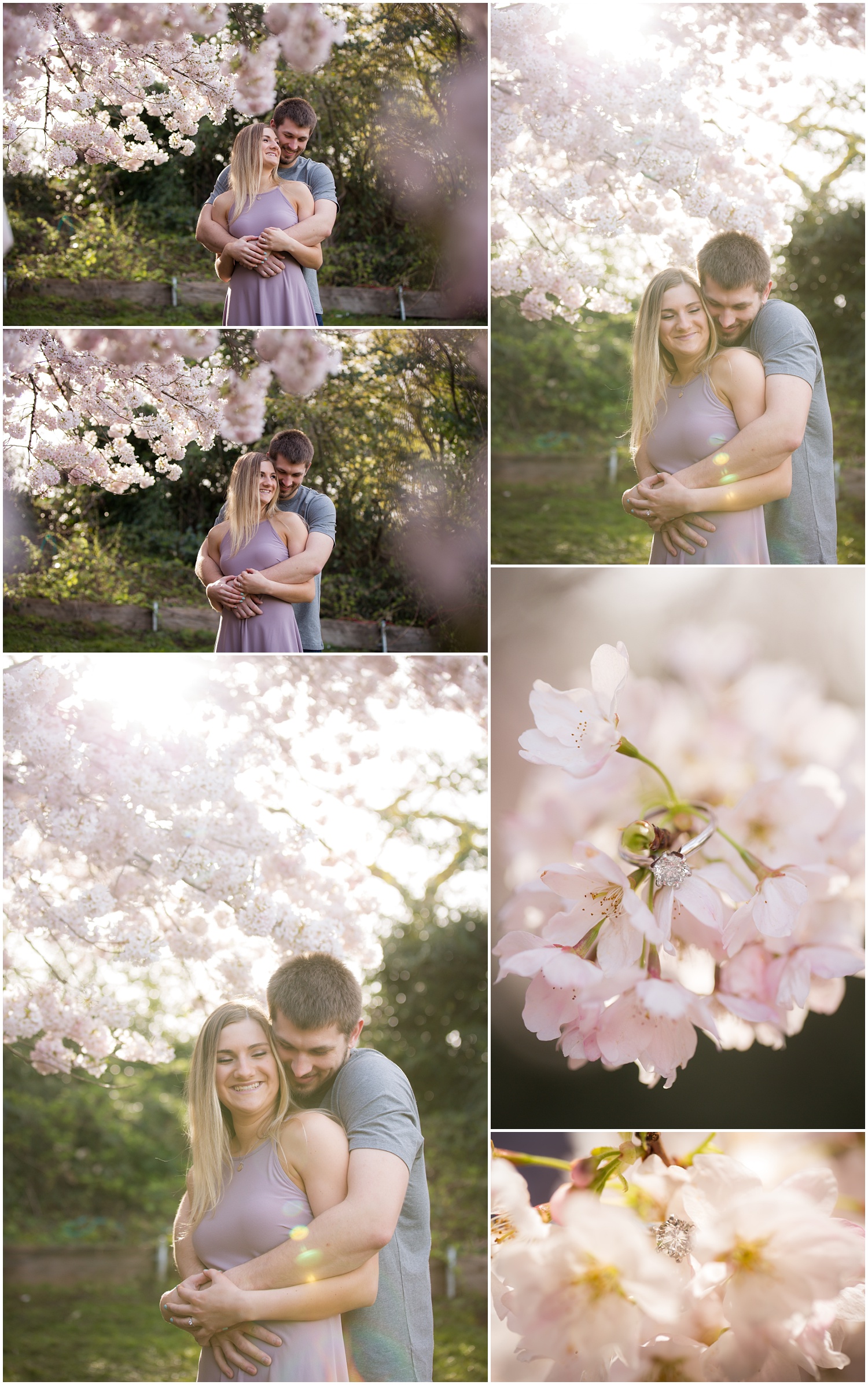 Amazing Day Photography - Cherry Blossom Engagement Session - Queen Elizabeth Park Engagement Session - Vancouver Engagement Photographer  (2).jpg