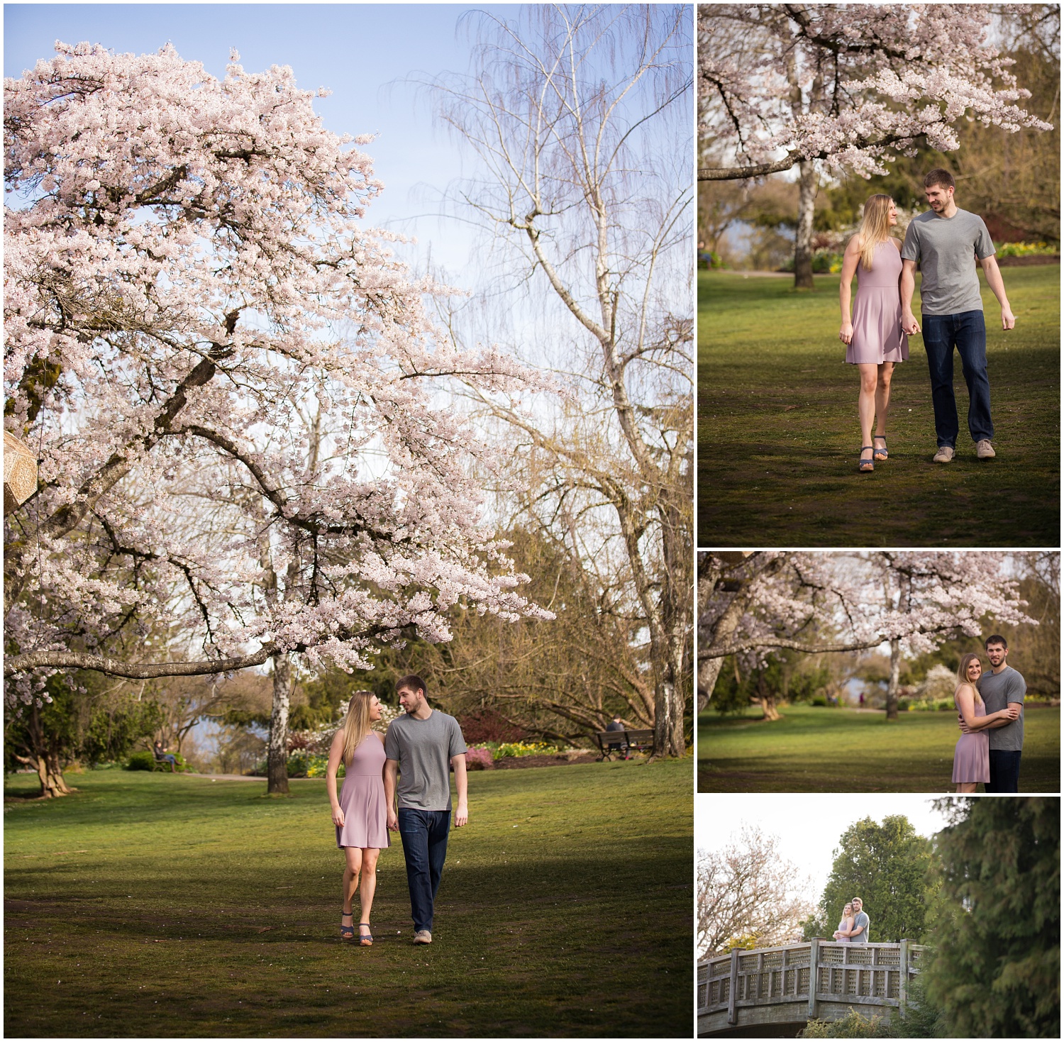 Amazing Day Photography - Cherry Blossom Engagement Session - Queen Elizabeth Park Engagement Session - Vancouver Engagement Photographer  (3).jpg